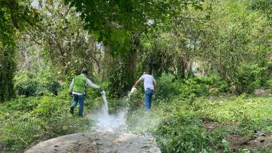Ante la presencia de lluvias, es necesario reforzar acciones de saneamiento básico