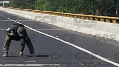 ponchallantas asegurados guardia Civil