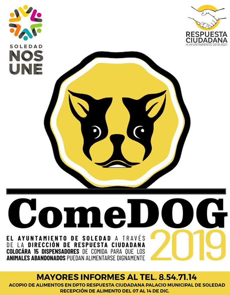 comedog