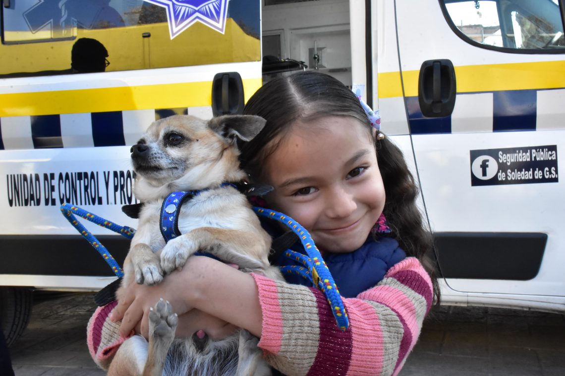 ambudog soledad