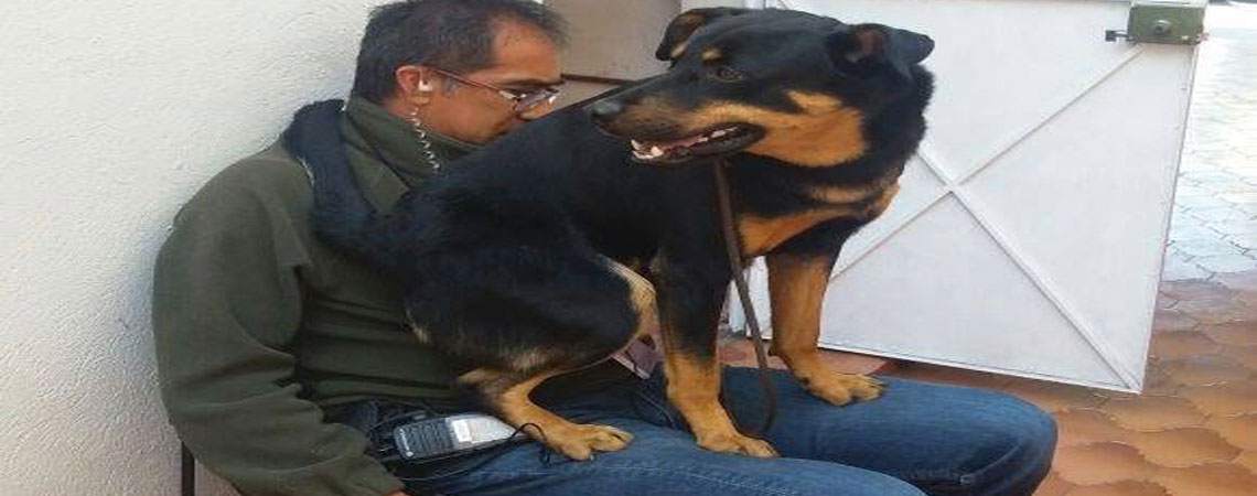 La verdadera historia de ‘El Borras’, el perrito de ‘Roma’