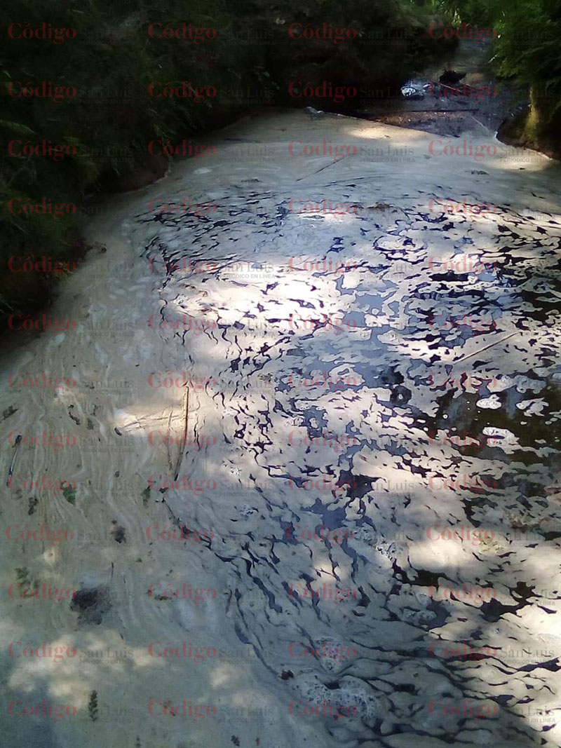 rio gallinas
