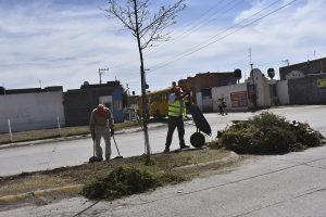Servicios municipales recorta árboles por fuertes vientos