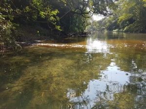 contaminacion-rio