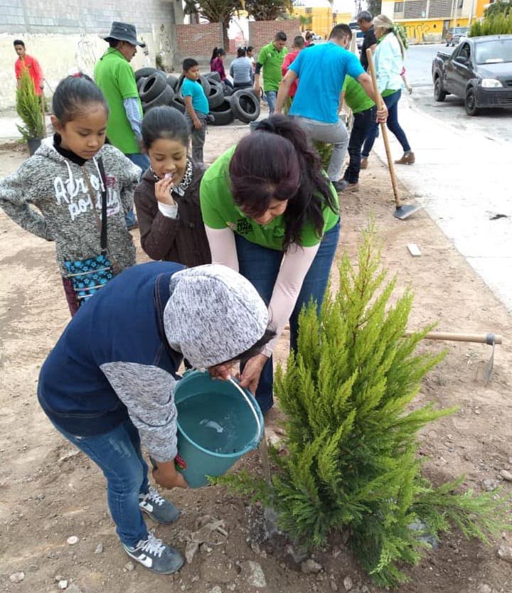 medio ambiente