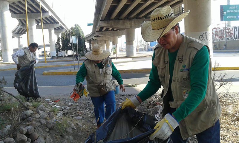 medio ambiente