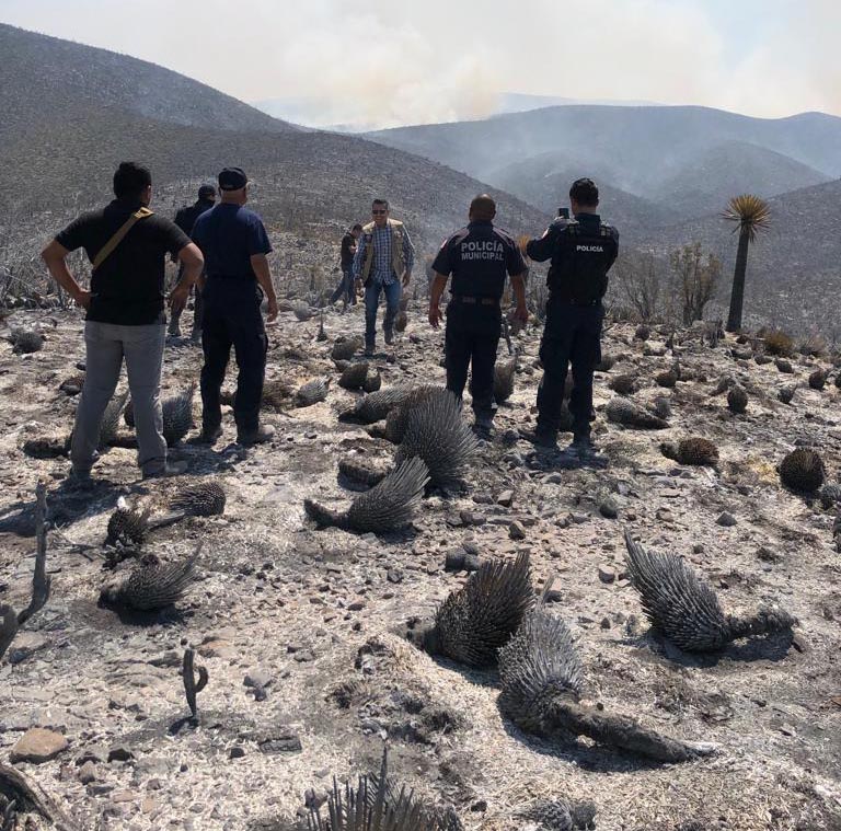 incendio