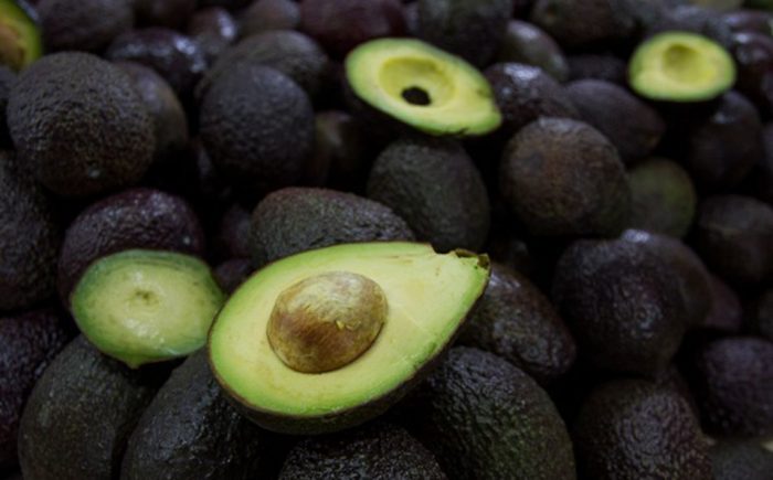 aguacate