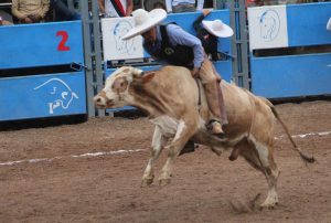 charro