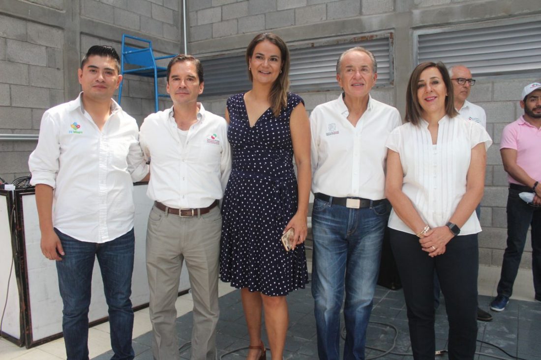 campeonato de natación 