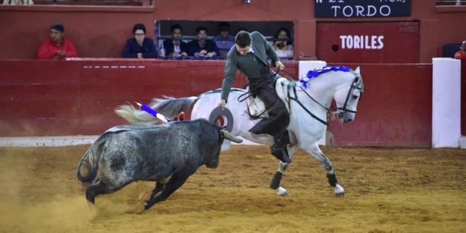 toros en slp