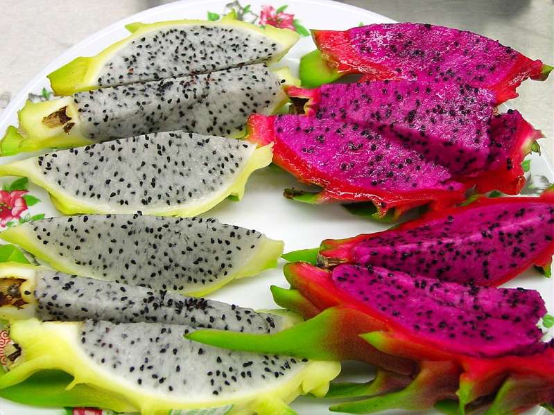 FRUTAS