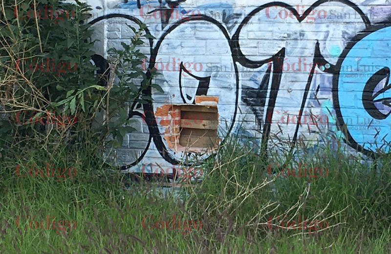 corona