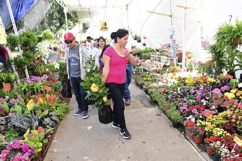 feria de las flores