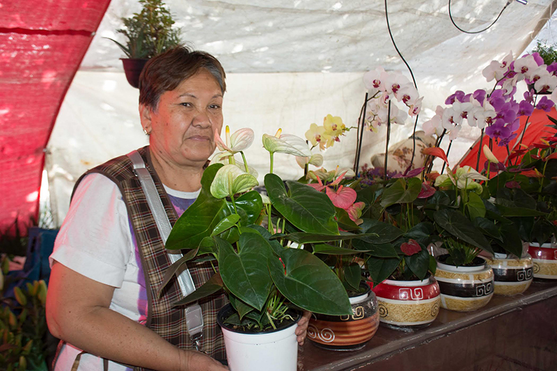 feria de las flores
