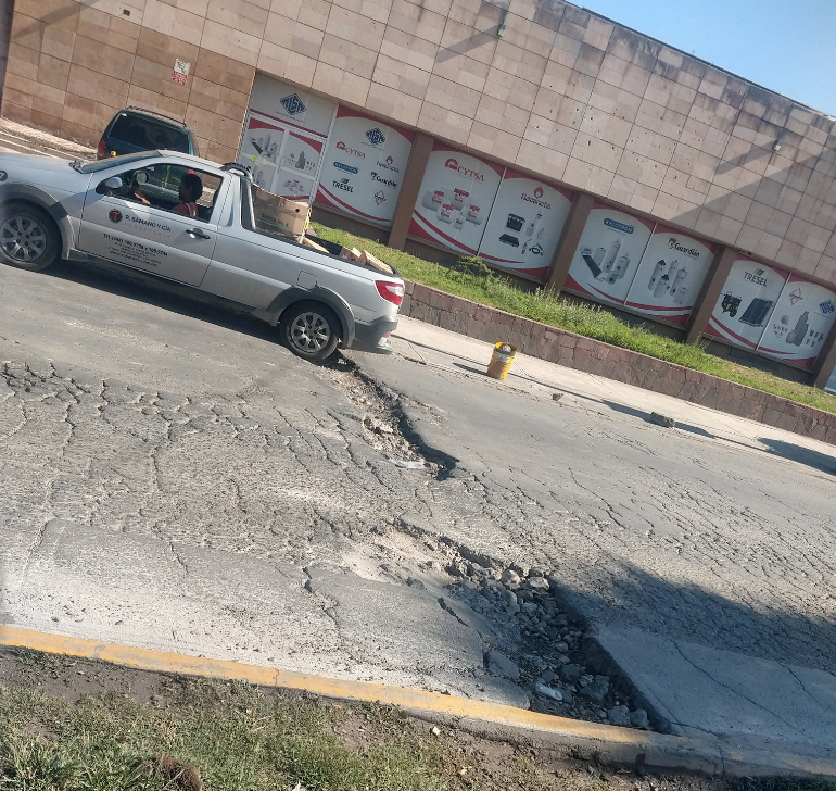 bache