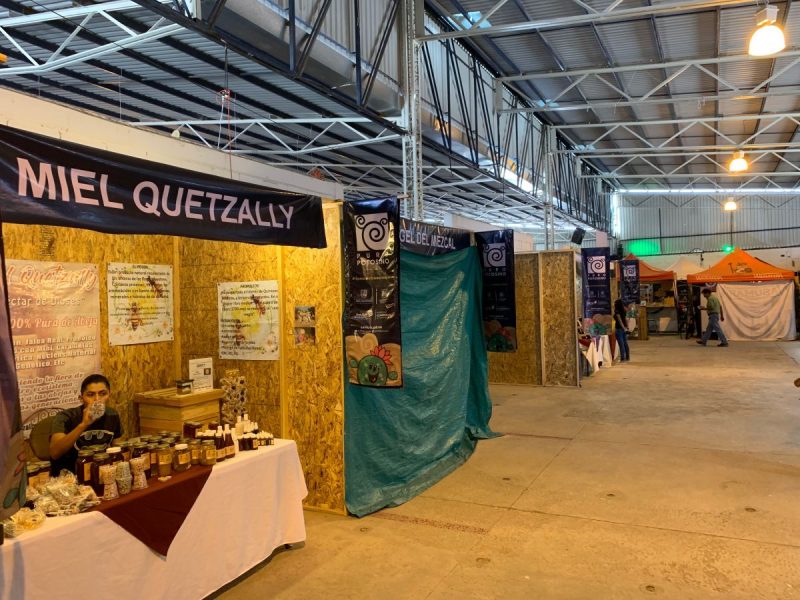 expo 