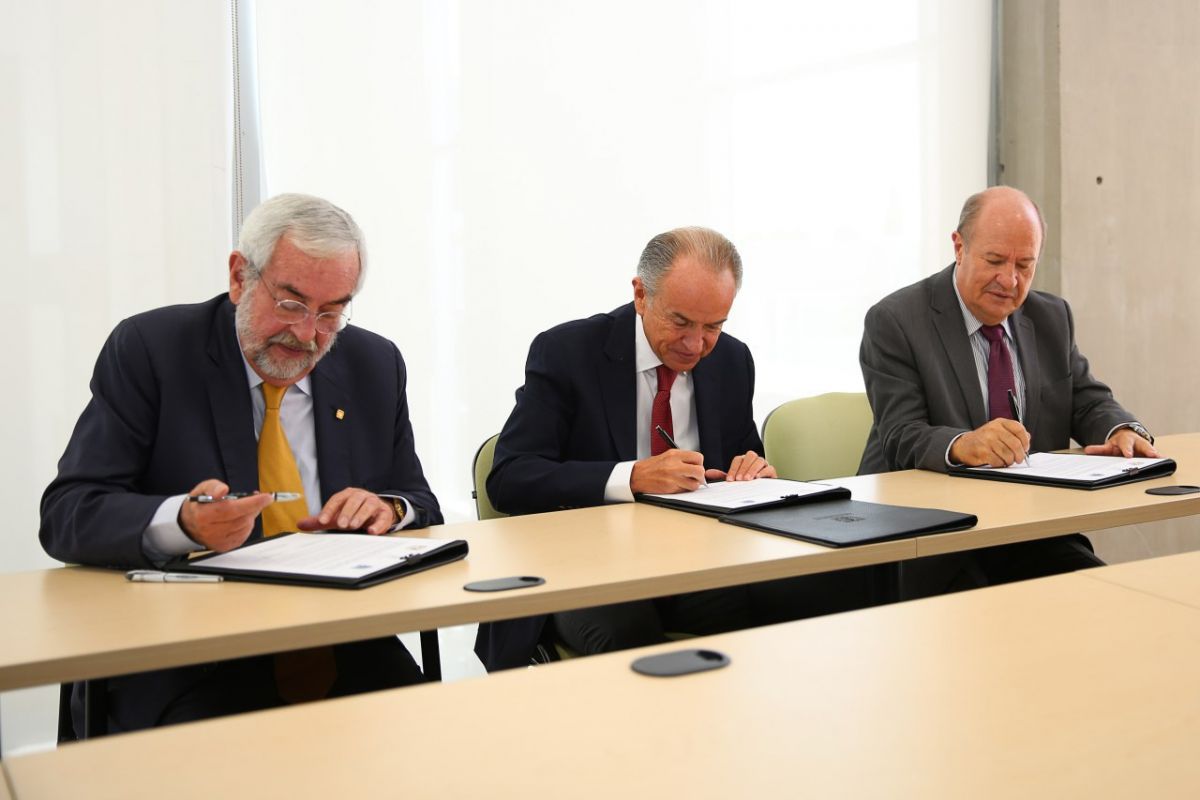 JMCL Carta intención (1)