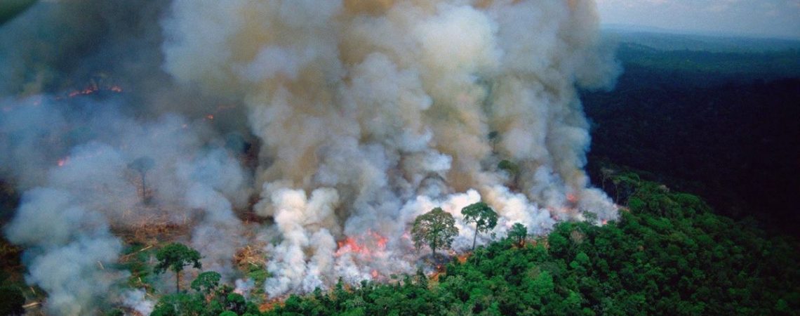 Van casi 73,000 incendios en el Amazonas en este año
