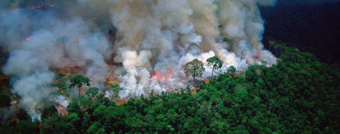 amazonas incendiandose