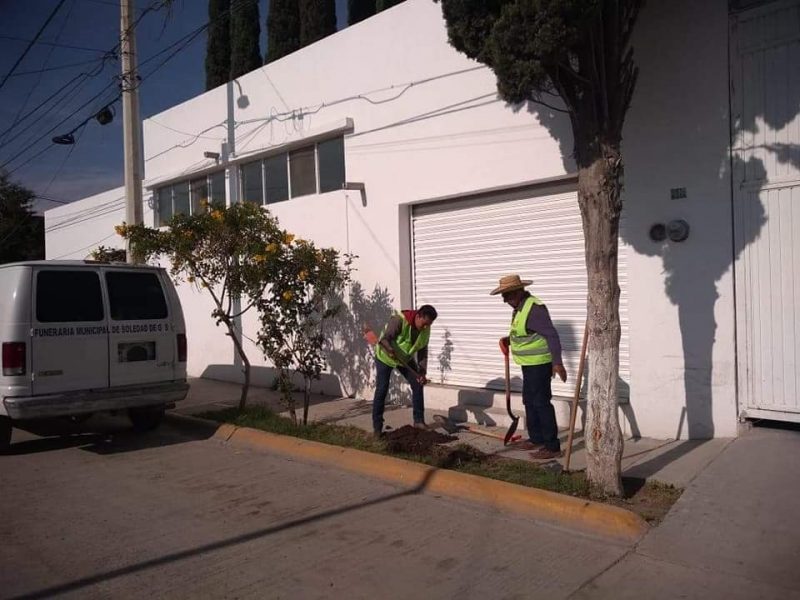 direccion de ecologia 1