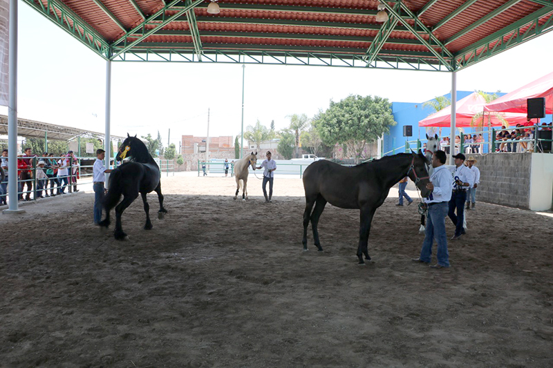 expo ganadera