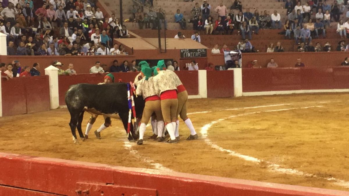 forcados