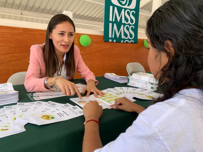 atencion imss diabetes mellitus