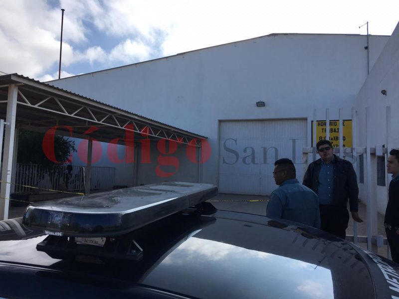calcinado camino al ceerro de San Pedro 1