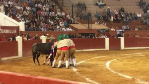 forcados