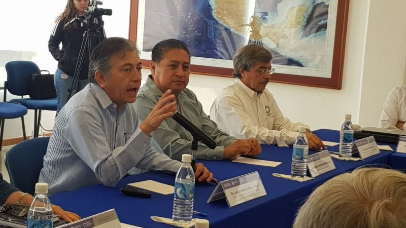 ipicyt soledad colaboracion 3