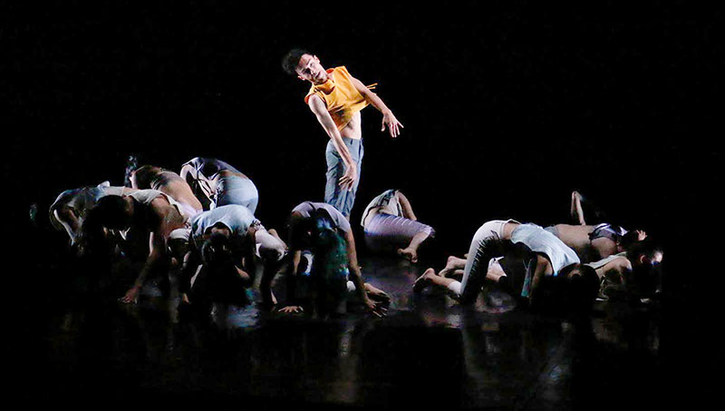 danza ipba