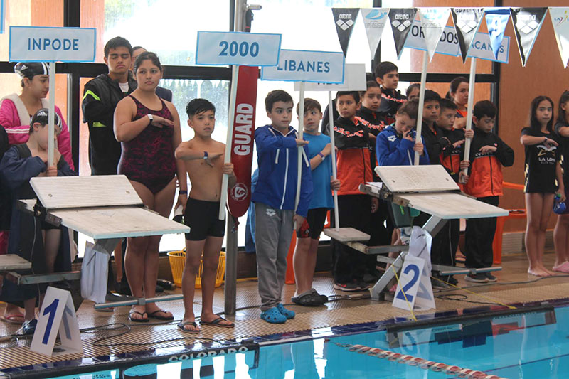 nacional de natacion