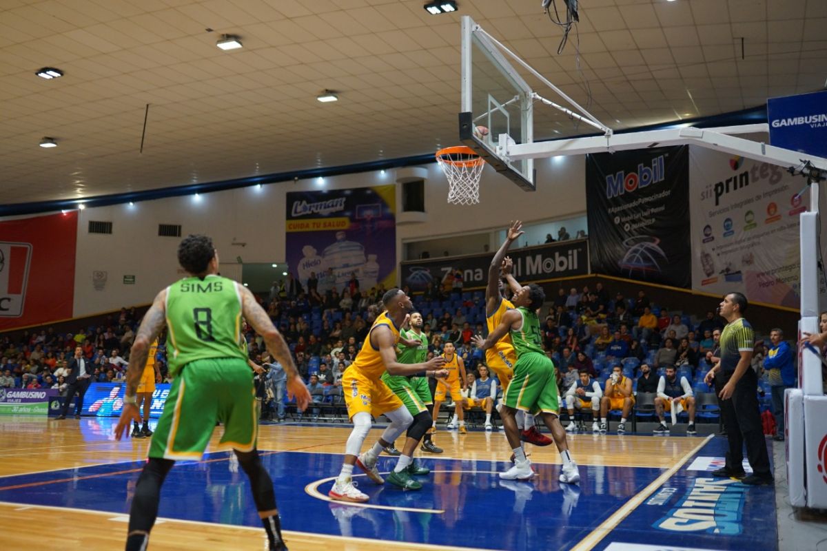 basquetbol