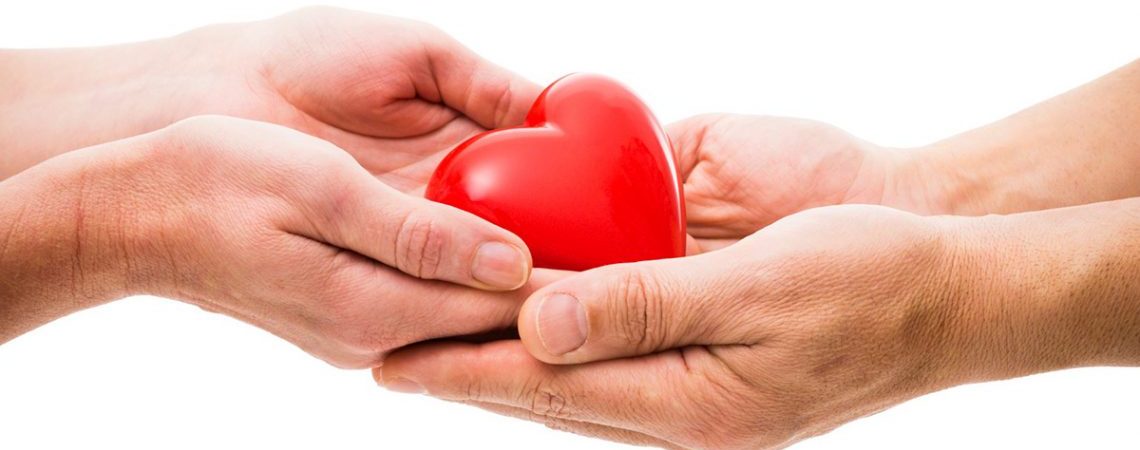 donacion de organos ine