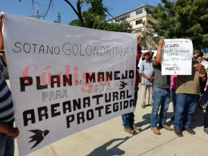 sótanos de las golondrinas