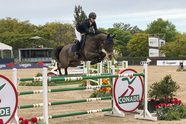 equitacion