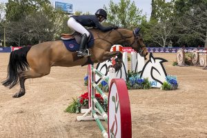 equitacion