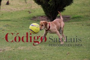 atletico de san luis