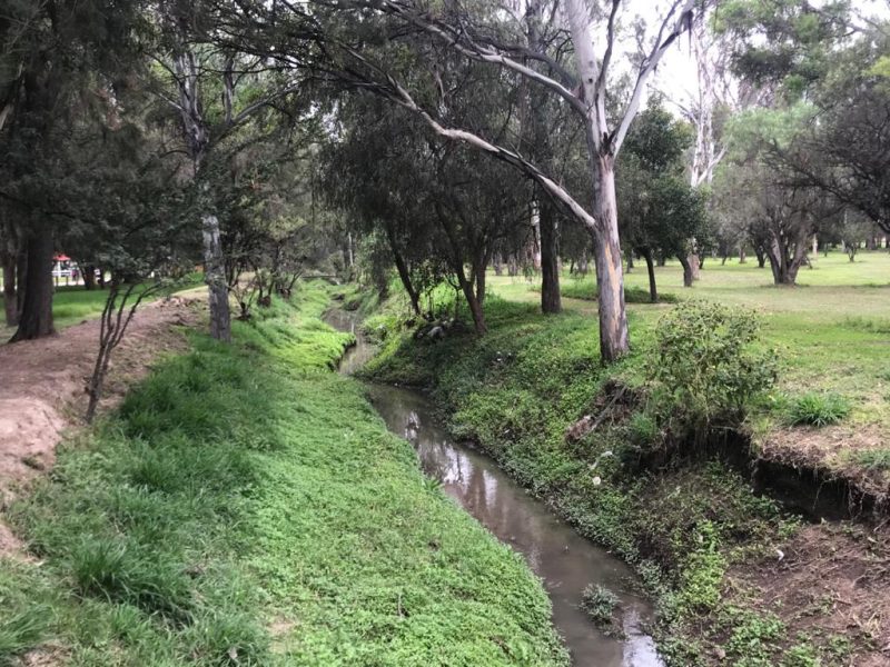 canal tangamanga