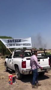 sutge