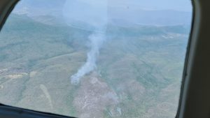 incendios forestales 