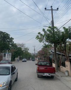 tianguistas
