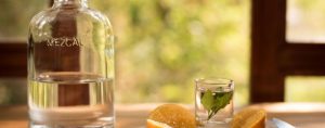 mezcal