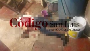 seguridad