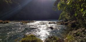 turismo aquismón cascada de tamul 