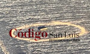custodio