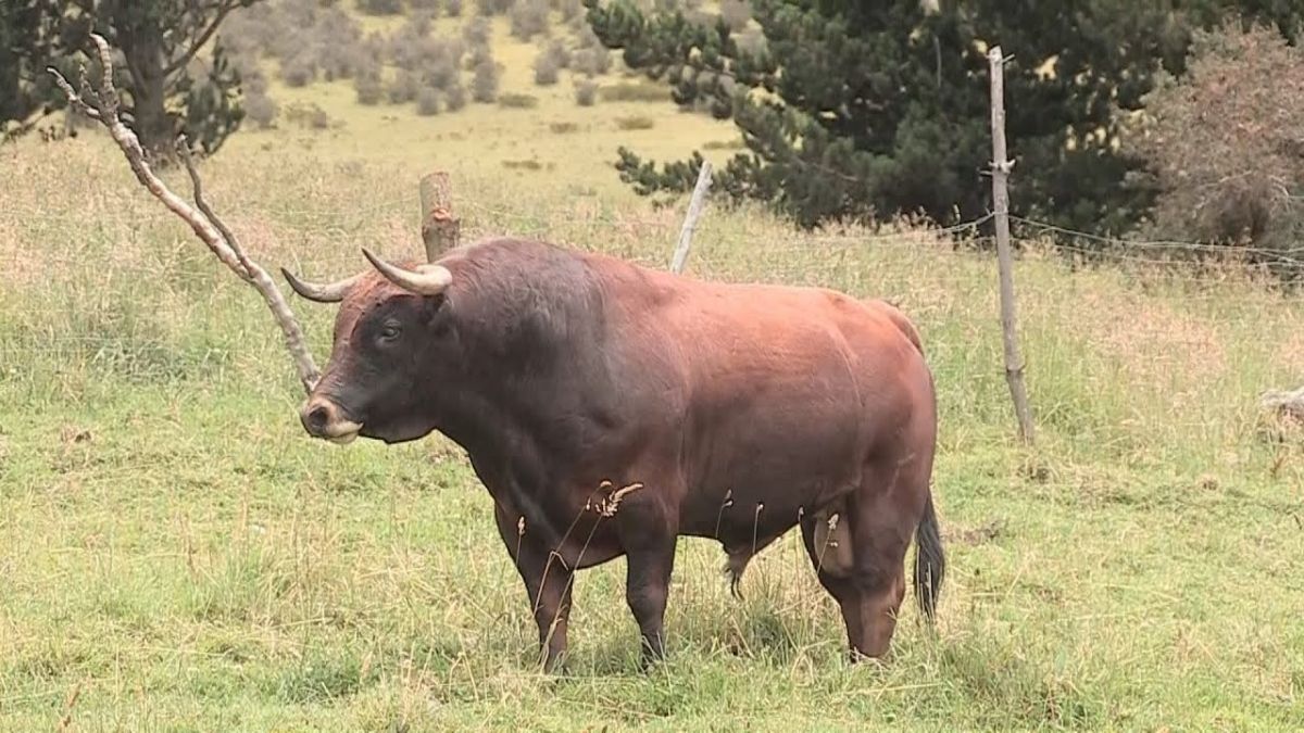 fomento agropecuario aquismón