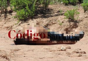 ejecutado-palmerito-villa de pozos