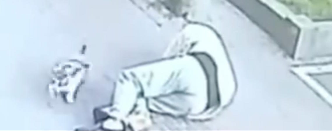 gato-abuelito